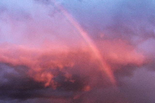 Rainbow in Pink 