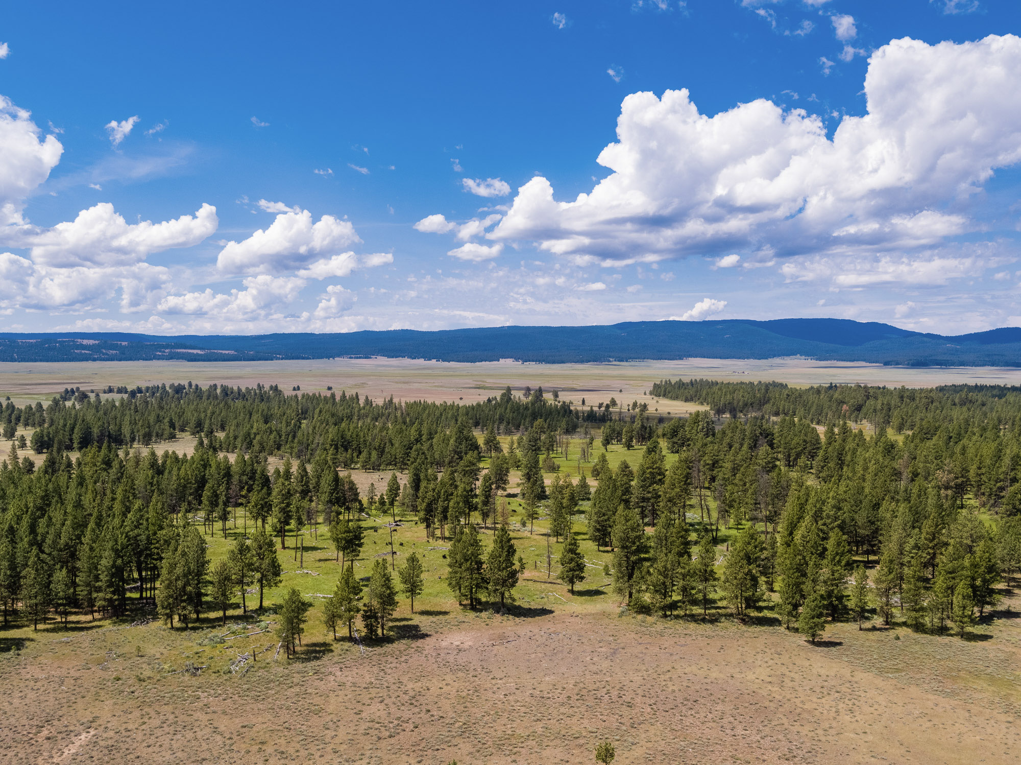 Summit Praire 9,300± Acres Crook County, Oregon