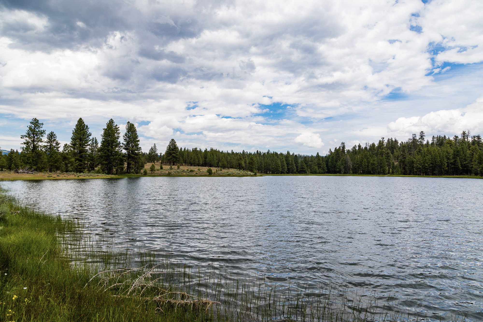 Summit Praire | 9,300± Acres Crook County, Oregon