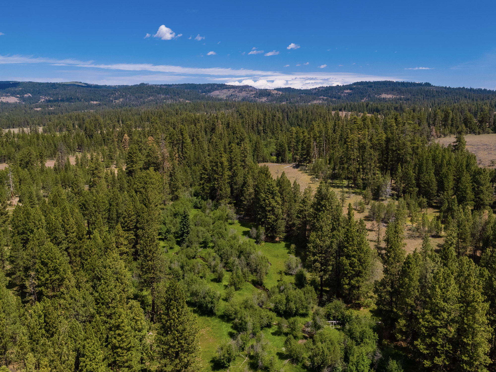 Summit Praire 9,300± Acres Crook County, Oregon