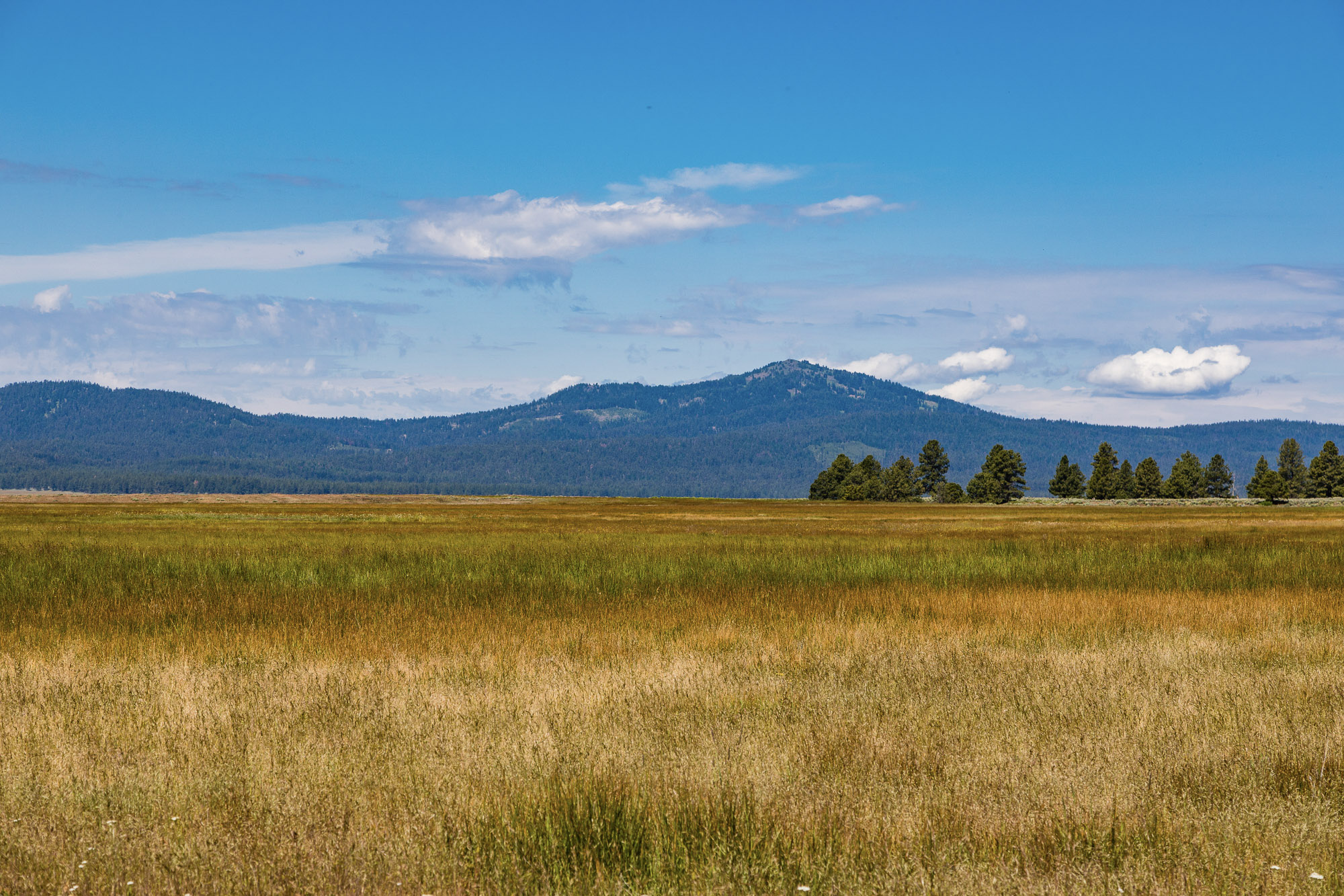 Summit Praire | 9,300± Acres Crook County, Oregon