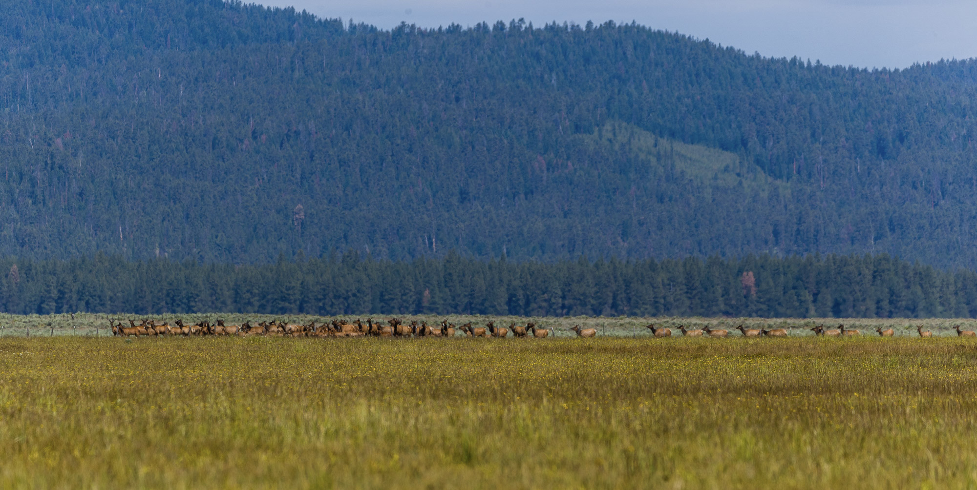 Summit Praire 9,300± Acres Crook County, Oregon