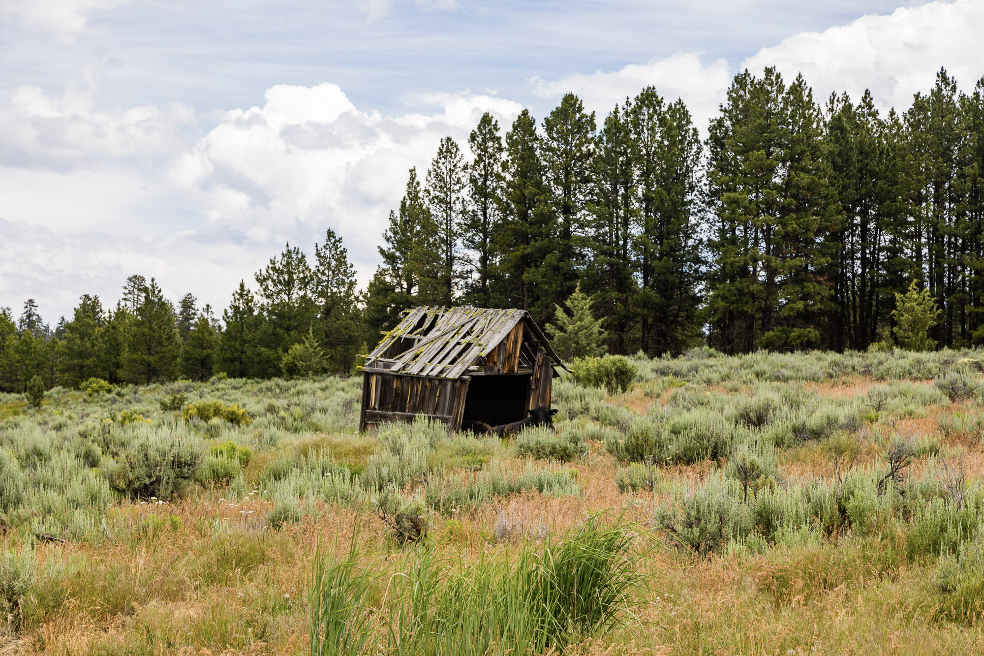 Summit Praire 9,300± Acres Crook County, Oregon