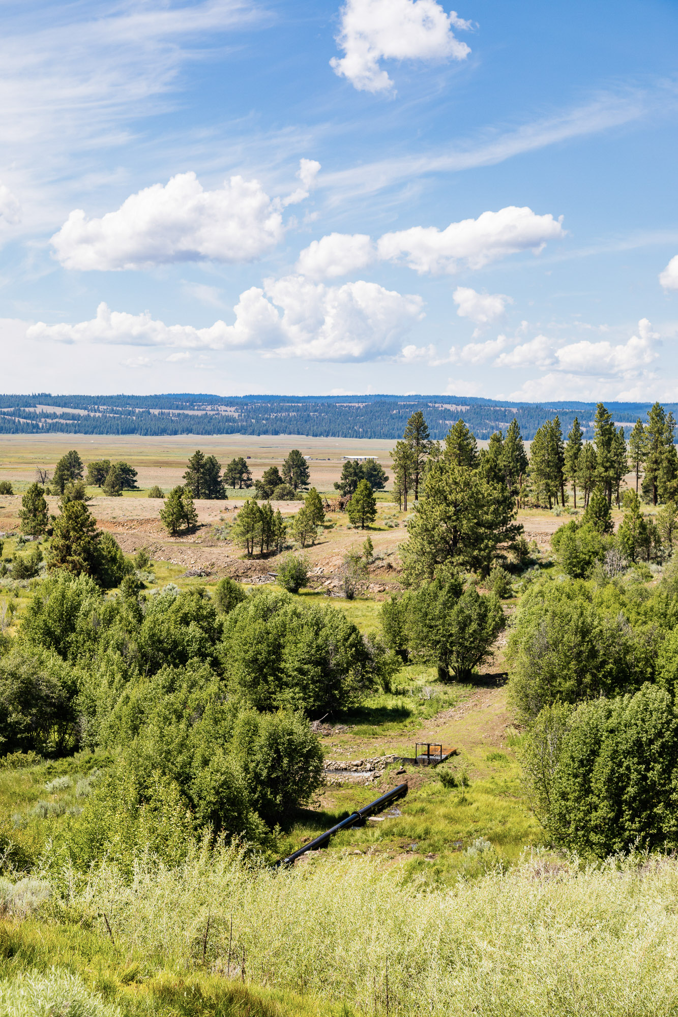 Summit Praire 9,300± Acres Crook County, Oregon