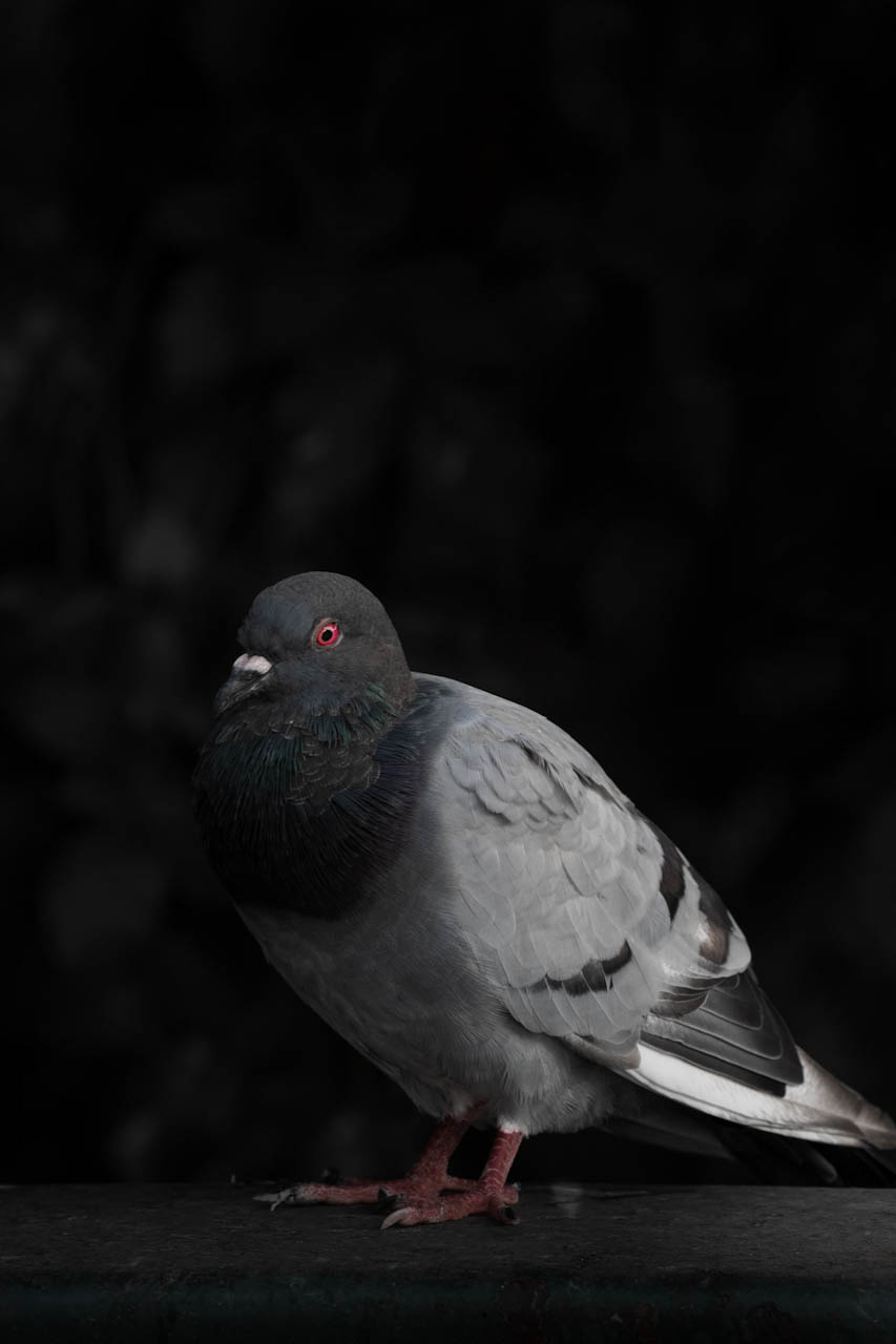 _TPA7989