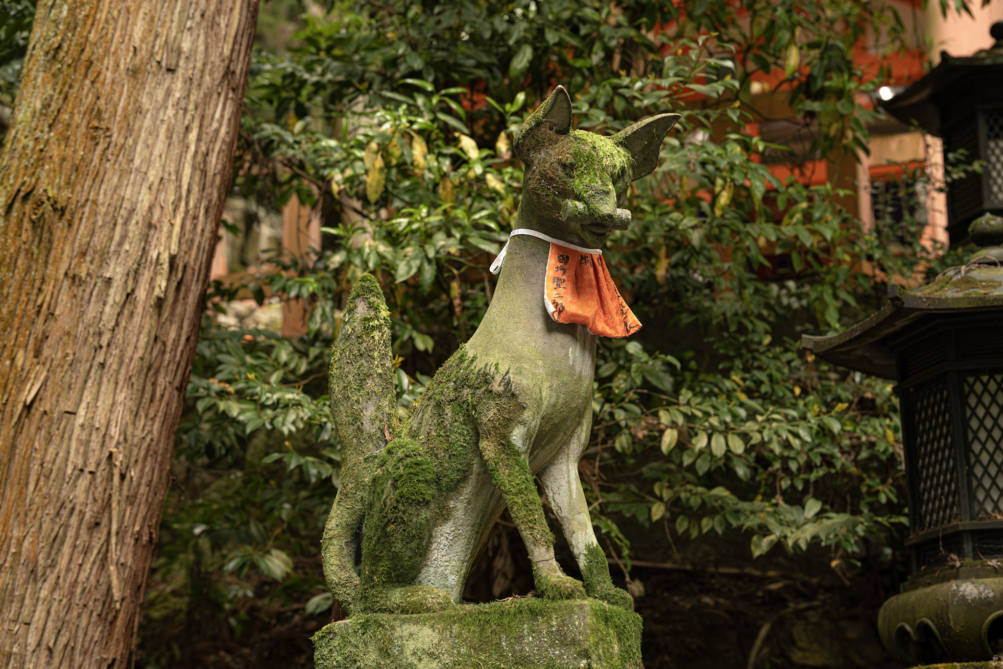 2026.04 Japan — photo 4 (hosted by Adobe Lightroom)