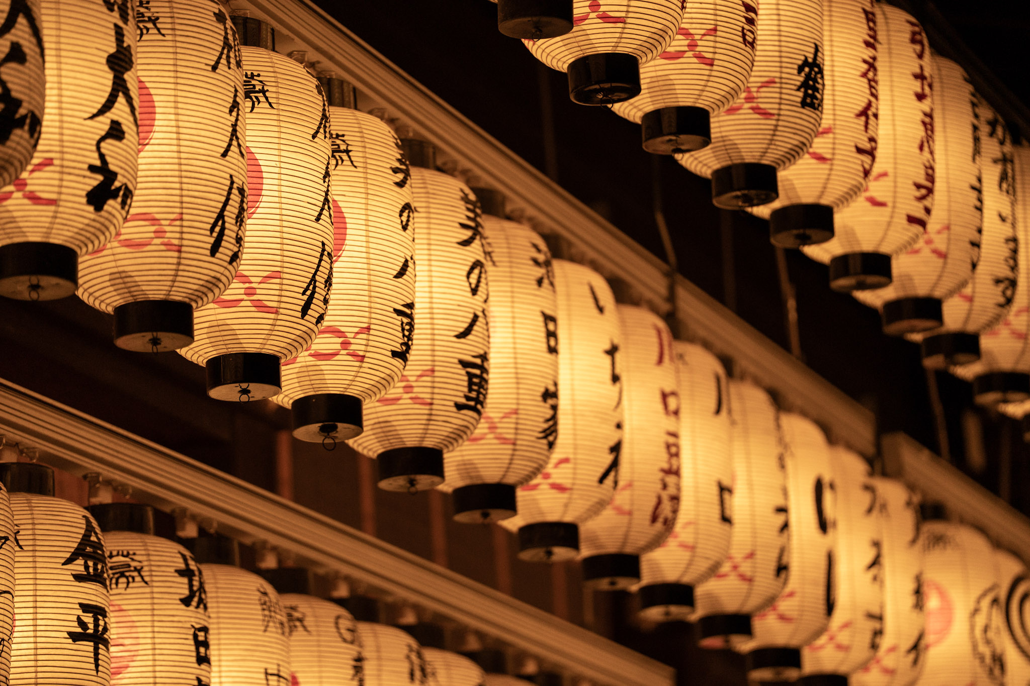 2026.04 Japan — photo 3 (hosted by Adobe Lightroom)