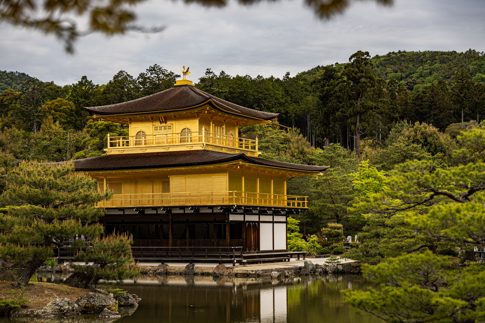 2026.04 Japan — photo 5 (hosted by Adobe Lightroom)