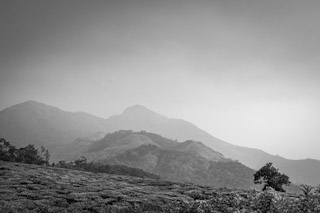 _DSC3991.JPG