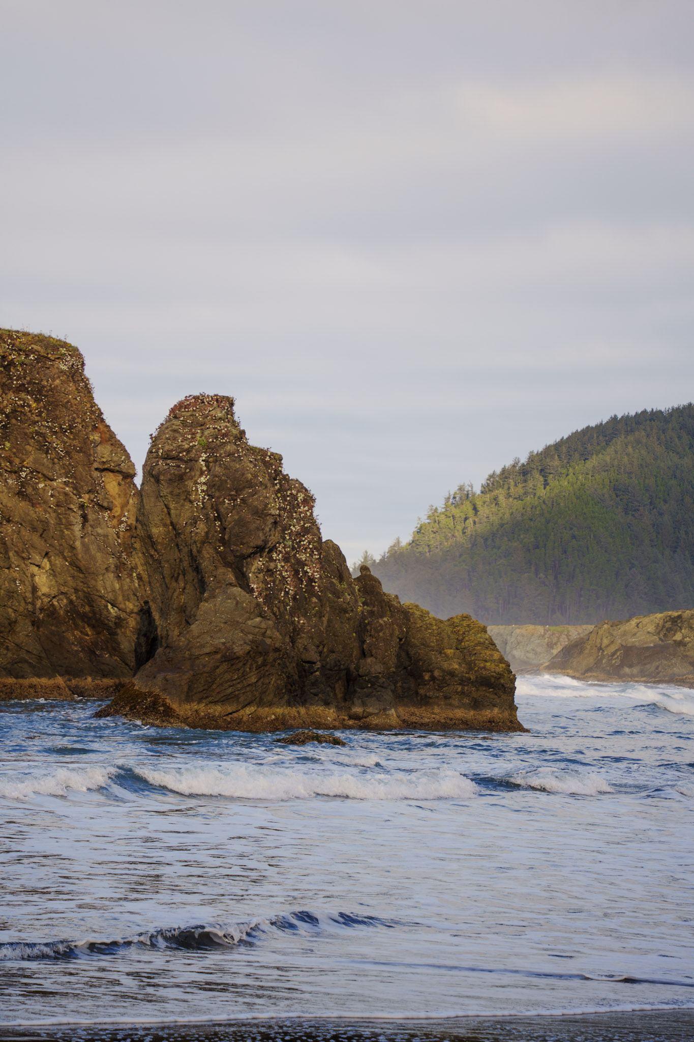 West Coast Oregon & California