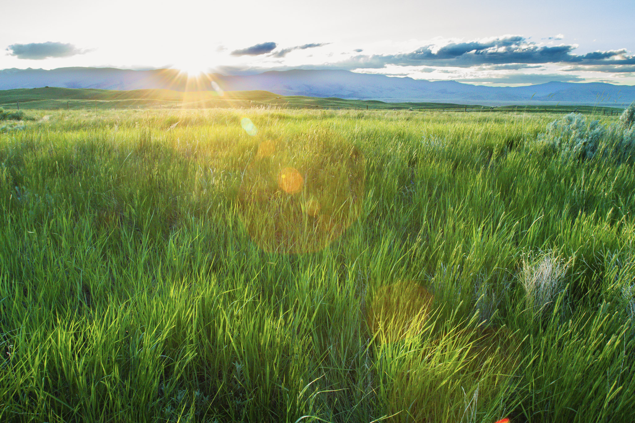 Sitka Ranch by Hall and Hall