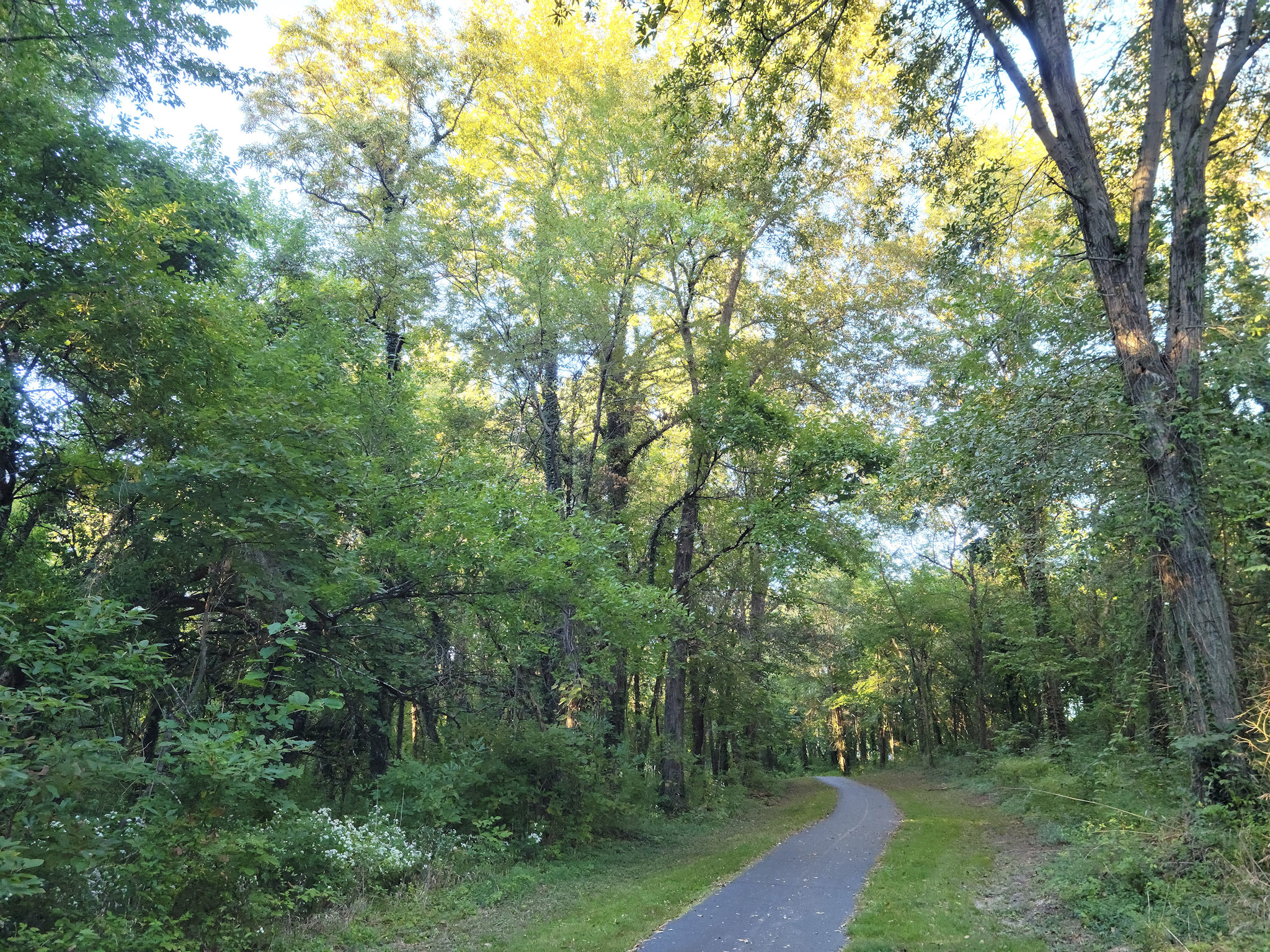 Rock Springs Park Parking