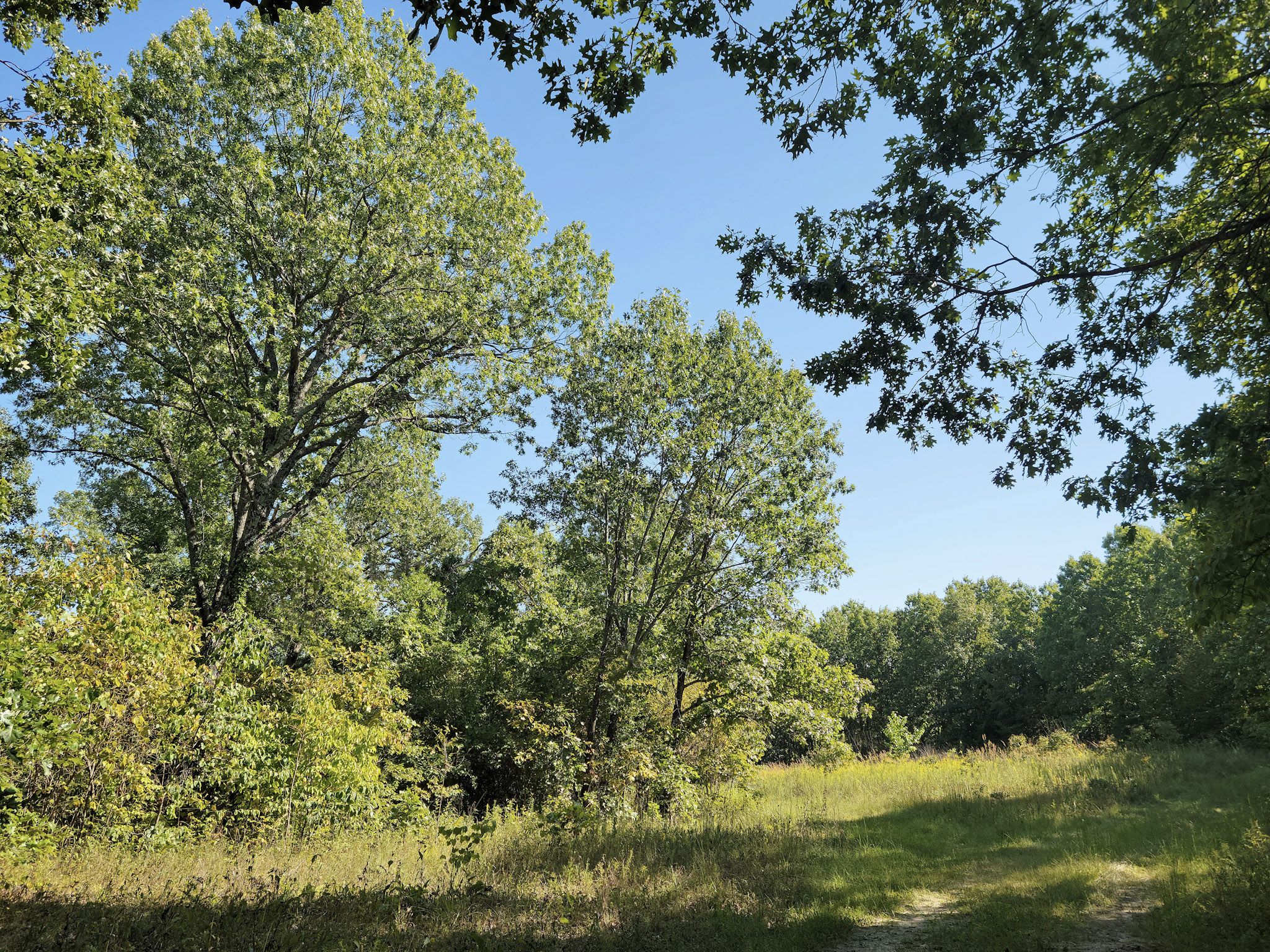 Little Lost Creek Conservation Area By Parks & Blooms