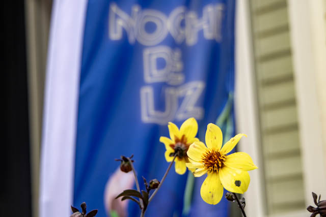 Noche De Luz