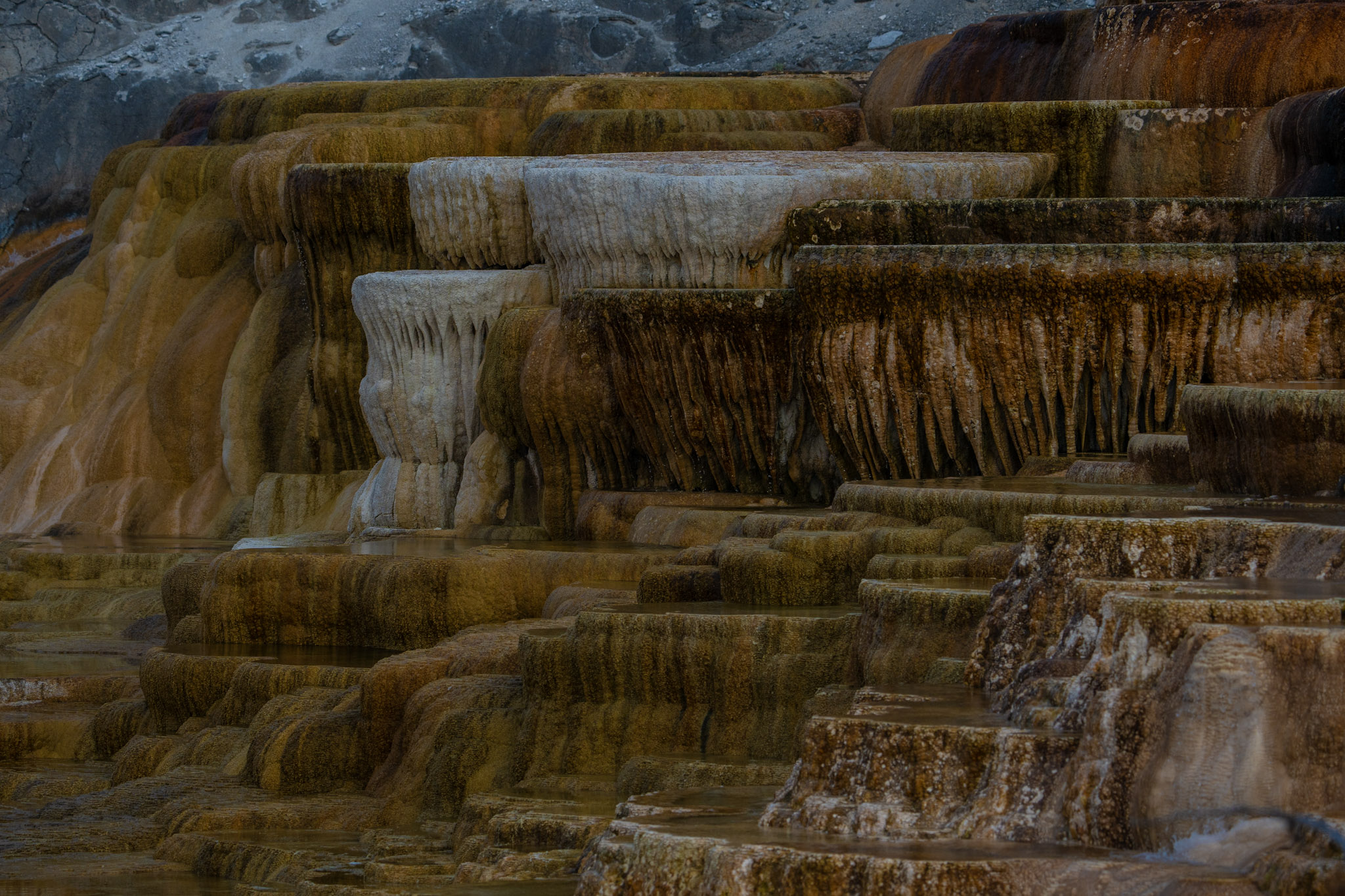 2025.09 Yellowstone — photo 4 (hosted by Adobe Lightroom)