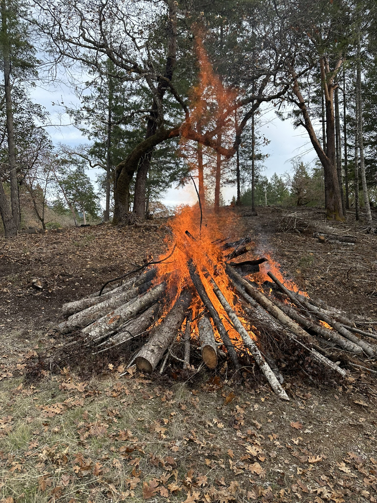 Photos from the Pile Burning Workshop