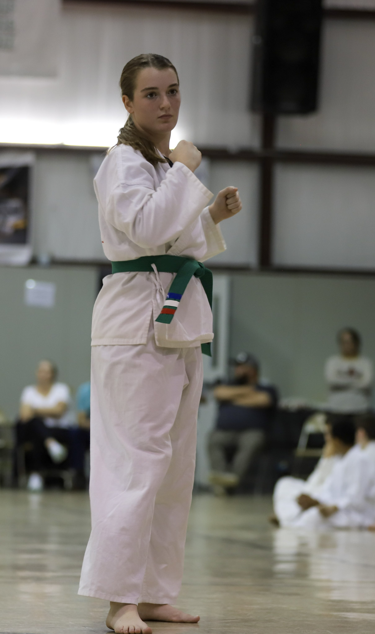 karate belt test 2023